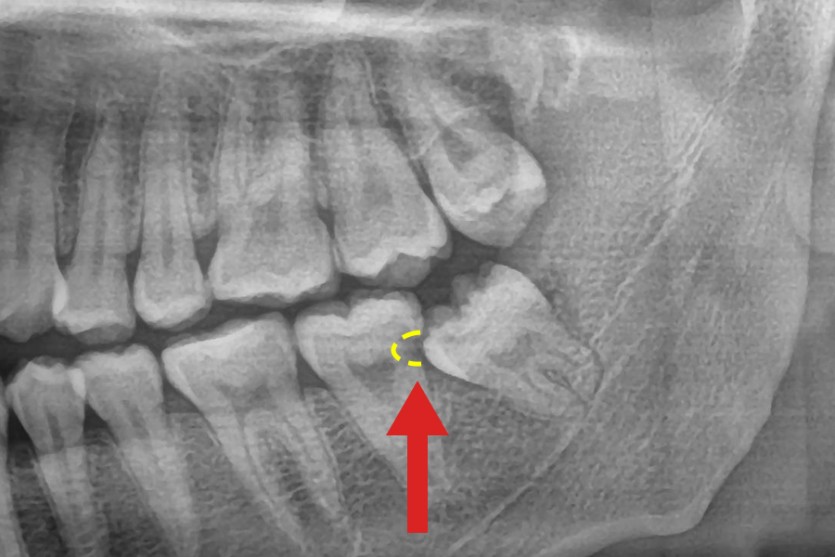 194605_4d5a04cf47.jpg